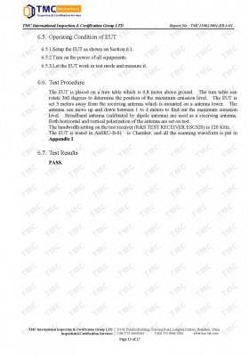Lithium Battery-CE Report_Page_13