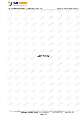 Lithium Battery-CE Report_Page_20